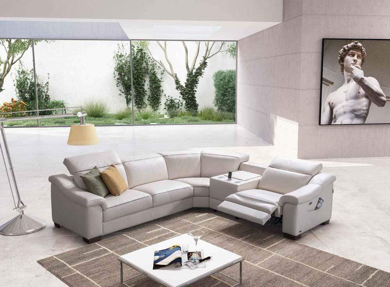 Loiudiced Couches & Sofa Cesare Leather Sectional