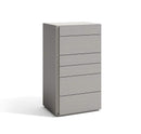 Faro Chest in Grey