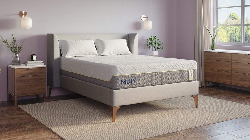 Stearns and Foster Mattress WellFlex 1.0 Mattress | Mlily